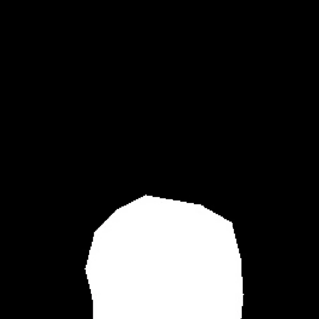 Ground-truth Kvasir-SEG mask