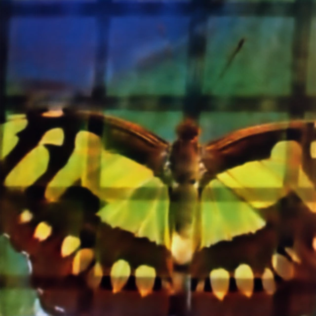 Butterfly reconstruction from the broadband metalens under fence obstruction