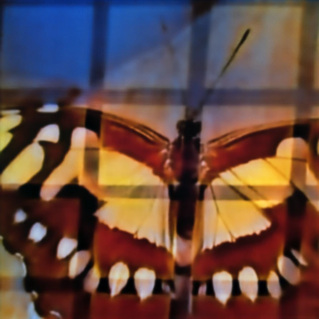 Butterfly reconstruction from the hyperbolic metalens under fence obstruction