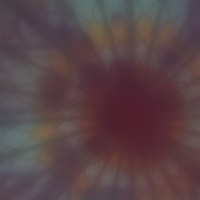 Raw mandala sensor capture through the broadband metalens and dirt obstruction