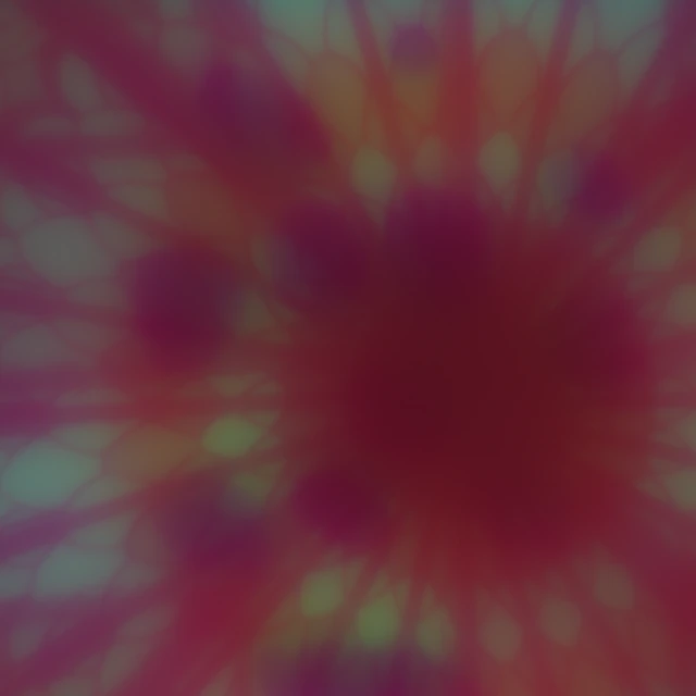 Raw mandala sensor capture through the hyperbolic metalens and dirt obstruction