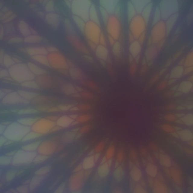 Raw mandala sensor capture through the proposed metalens and dirt obstruction