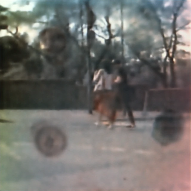 Dirt-obstructed Cityscapes input captured through the broadband metalens