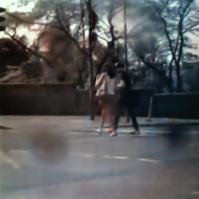 Dirt-obstructed Cityscapes input captured through the proposed metalens