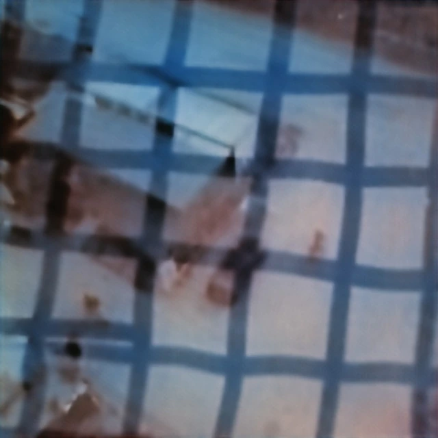 VisDrone prediction from the obstructed hyperbolic capture